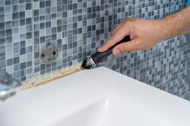 Best Local Mold Removal Service  in Tequesta, FL
